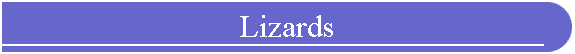 Lizards