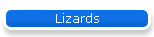 Lizards
