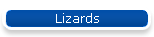 Lizards
